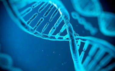 Los restos de la niña fueron descubiertos en el parque arqueológico de Upward Sun River. Internet | Referencial