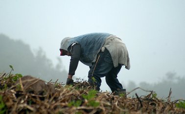 Archivo de La Opinión