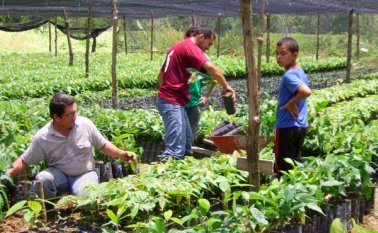 "Gracias a estos resultados, más de 441.000 proyectos productivos se desarrollaron, de los cuales cerca de 273.000 son de pequeños productores”, indicó MinAgricultura. Archivo