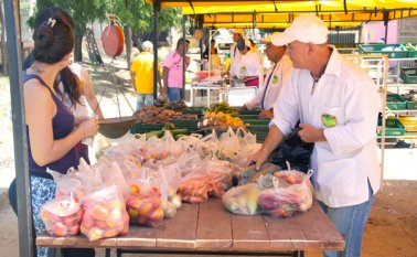 Los vendedores están domingos en el barrio Aeropuertos, martes en La Libertad; miércoles, en El Trigal; jueves, en Antonia Santos; viernes, en San Martín y sábados, en Los Acacios. Los lunes descansan. Alfredo Estévez
