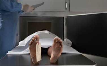 Internet | Referencial