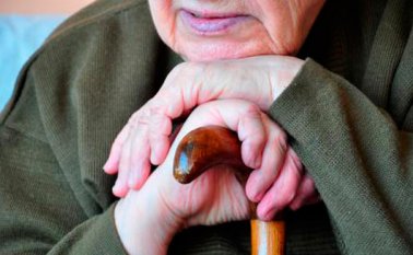 Algunos residentes del hogar Palace Gardens ya cuentan con sus propios animales artificiales. Internet | Referencial