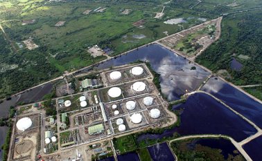 Archivo de La Opinión