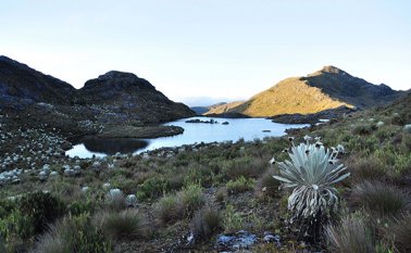 También, se busca que la reunión sirva para plantear un cronograma con las actividades de orden social, académico y de veeduría sobre el páramo. Archivo de La Opinión