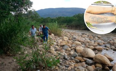 El hombre asesinado en la trocha Los Mangos tenía un tatuaje en la pierna derecha. Juan Pablo Cohen