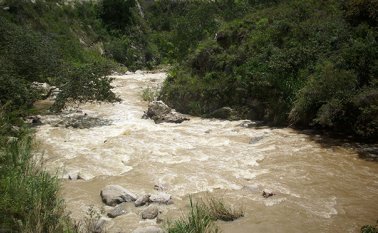 Archivo de La Opinión