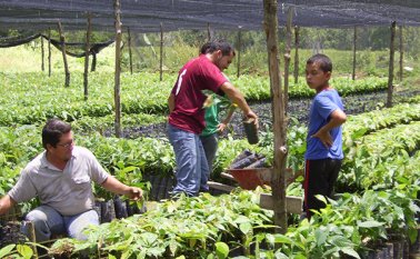 Archivo de La Opinión