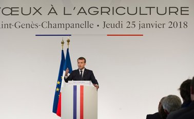 Archivo de La Opinión