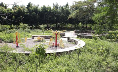 Desde el aire el parque se observa oculto bajo la maleza. En Cúcuta hay otros parques en similares condiciones. César Obando