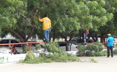 La jornada de limpieza estuvo apoyada por varios entrenadores de los clubes afiliados a la Liga. Cortesía