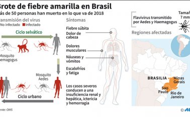 Sao Paulo encabeza esas preocupantes estadísticas este año, seguido por los estados Minas Gerais y Rio de Janeiro. AFP