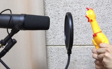 Sus canciones son tendencia en Youtube Youtube