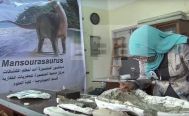 Captura de video EFE