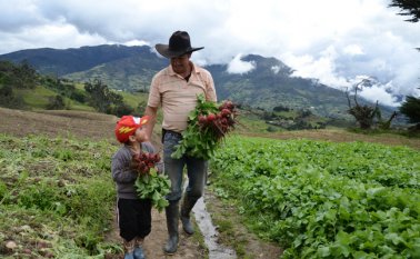 América Latina y el Caribe provee cerca del 30 % de los productos agrícolas importados por China. Archivo