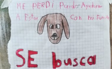 Twitter @mariatecaste