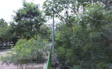 La comunidad manifiesta falta de sentido de pertenencia por parte del Estado. Alfredo Estévez