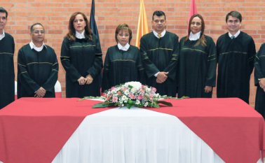 Ejercerán por un periodo de dos años. Mario Franco