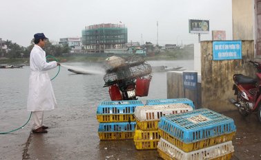 Los municipios en cuarentena son Chipaque, Choachí, Ubaque, Fómeque, Cáqueza, Une, Guayabetal, Quetame, Gutiérrez y Fosca, afirmó el ICA en un comunicado. Colprensa