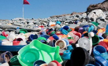 Cada 5 de junio se celebra el Día Mundial de Medio Ambiente, esta vez el lema es "Un planeta #SinContaminación por plásticos". Pinterest.es