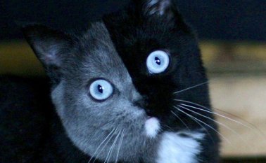 Instagram @amazingnarnia