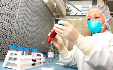 Diagnóstico de enfermedades. Internet