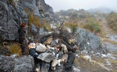 Estos son los daños que ha causado el turismo en Santurbán. Edinsson Figueroa