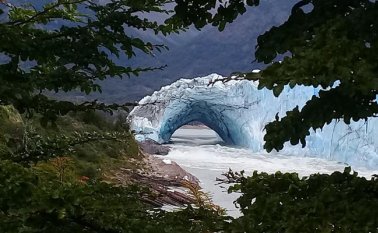 Tomada de Twitter @ParquesOficial