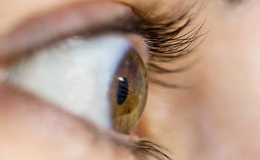 Se estima que en 2020 al menos 79,6 millones de personas tendrán esta enfermedad, lo que llevará a que mucha gente padezca depresión debido a la pérdida de la vista. Internet