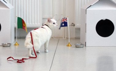 Las mascotas pronosticadoras se han convertido en un clásico de los grandes torneos. AFP