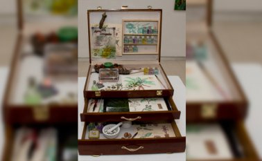 La maleta del chamán, obra del artista payanés radicado en Cúcuta, Óscar Iván Roque Mosquera, hace parte del V Salón Bat, abierto actualmente en Bucaramanga. Archivo La Opinión