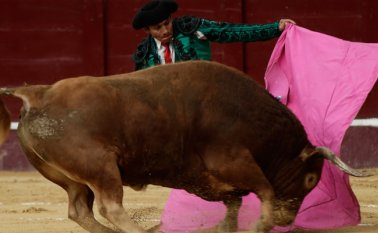 "Hay un clamor ciudadano que nos pide eliminarlas”, sostuvo el representante Oscar Hurtado, el autor del proyecto, sobre las corridas de toros. Colprensa