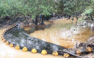 Se solicitó un informe detallado de las medidas preventivas tomadas. Colprensa