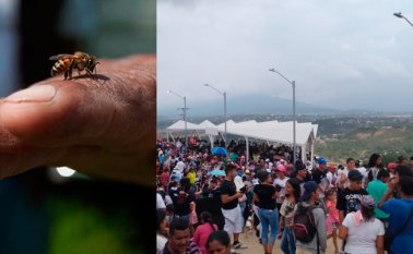 La Opinión e Internet