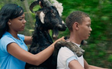 Las producciones colombianas podrán ser apreciadas en Alemania, desde el próximo jueves. Colprensa