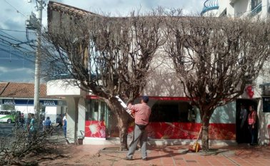 Personal de la Unidad Técnica Ambiental realizó el recorrido. Cortesía