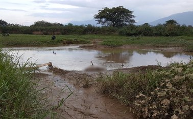 Al parecer, una leve creciente del río Pamplonita hizo que el cadáver llegara a la orilla. La Opinión