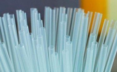 Esta prohibición llegará "para fin de año" en forma de ley. Internet