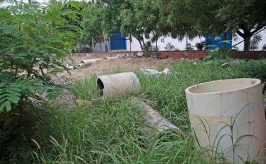 Mario Caicedo / La Opinión