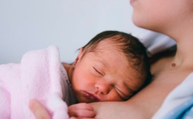 Recién Nacido. Internet