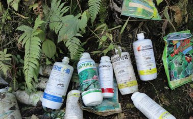 Los frascos de plaguicidas terminan en las laderas de los cultivos y los restos contaminan el ambiente, especialmente las fuentes de agua. La Opinión