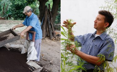 José David Martínez prepara de manera artesanal aceite de cannabis y Antonio José Valencia descubrió en la lombricultura un mercado alterno a la cría de codornices. Mario Franco / La Opinión