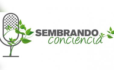 Se trata de la versión 21 del Premio Nacional de Periodismo Ambiental Amway Colombia. Internet