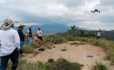 La iniciativa se denominada Programa Plantar. Cortesía