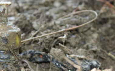 Mina Antipersonal. http://www.kapitalstereo.com