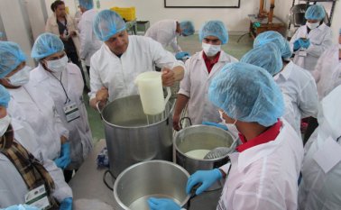 Los productores del Catatumbo aprendieron los procesos agroindustriales en el Iser. El personal a cargo de la planta selecciona las frutas y demás productos que se procesarán. Roberto Ospino / La Opinión