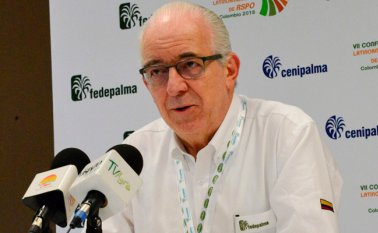 Jens Mesa Dishington, presidente ejecutivo de Fedepalma.
Cortesía
