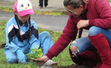 Las niñas plantaron distintas especies en varios sectores. La Opinión