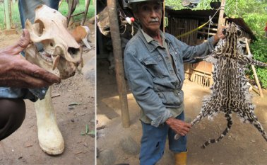 Carlos Cáceres Martínez