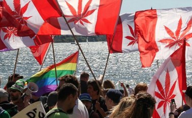 Canadá es el segundo país en el mundo que la legaliza, después de Uruguay.  Internet