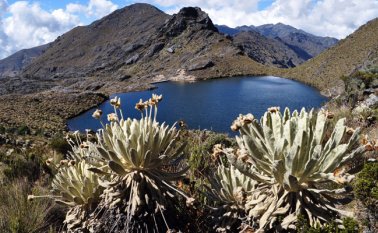 La sexta edición del evento se cumple en Bogotá bajo el lema 'La paz está en nuestra naturaleza'. Archivo